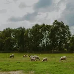 Luksusowy namiot Szczere Pole Karpacz