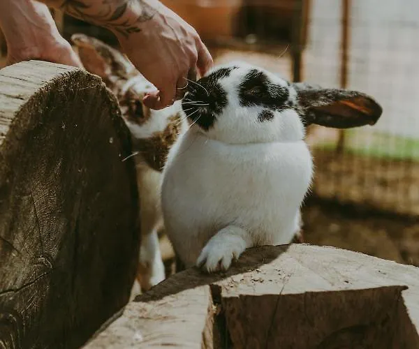 Campismo de Luxo Szczere Pole Karpacz