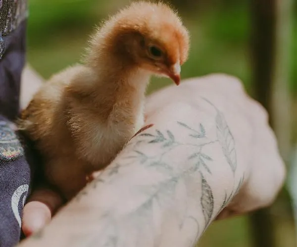 Szczere Pole Luxusní stan