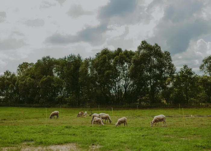 Campismo de Luxo Szczere Pole Karpacz