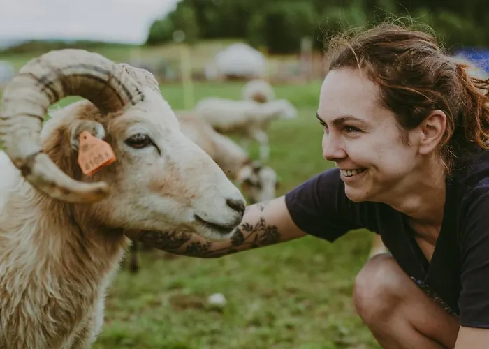 Campismo de Luxo Szczere Pole