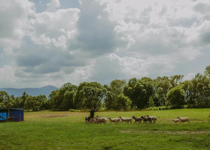 Campismo de Luxo Szczere Pole *