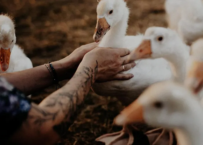 Szczere Pole Luxusní stan